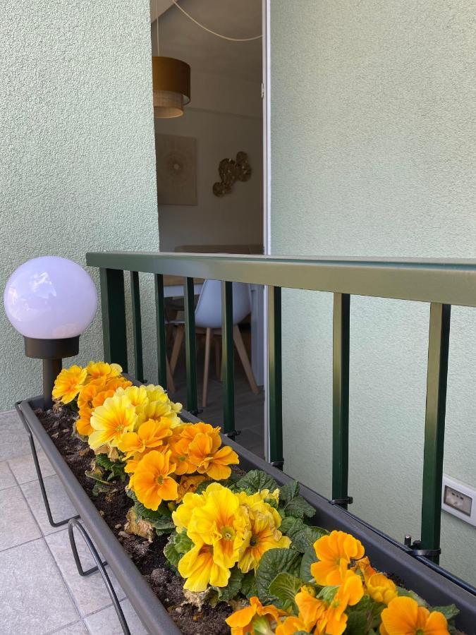 Valtellina Vacanze 손드리오 외부 사진